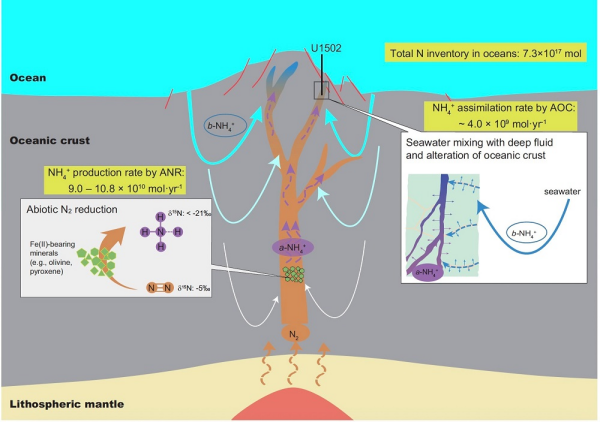 研究发现海底热液系统中非生物氮还原