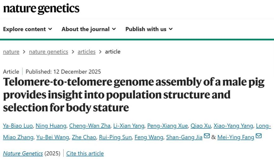 中国农业大学动科学院方美英教授团队在《自然·遗传》发表猪T2T参考基因组 深入解析猪群体结构与体型选择的遗传基础