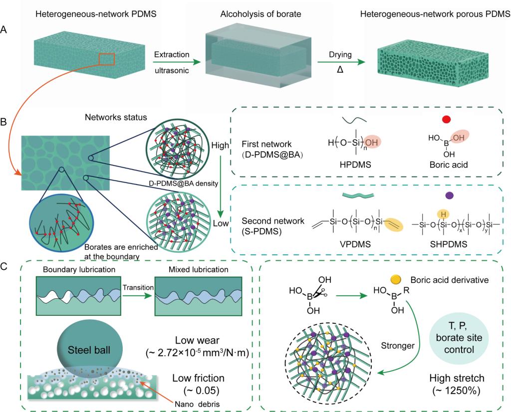 西安交大秦立果教授团队提出异质弹性体机械性能可编辑的新策略