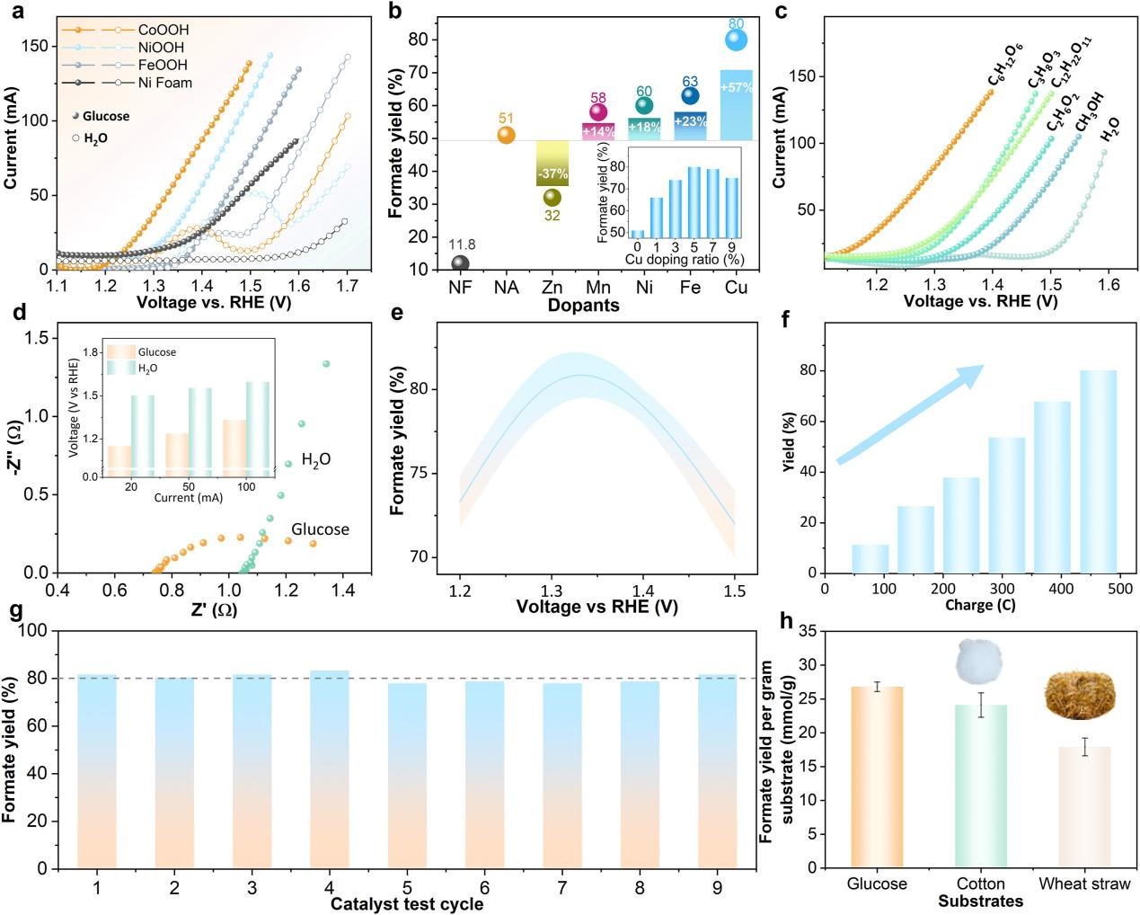 中国农业大学资环学院赵新教授团队在生物质制甲酸耦合高效绿氢生产方面取得重大进展