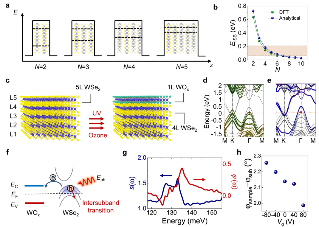 东南大学骆越教授在《自然通讯》上发表最新研究成果