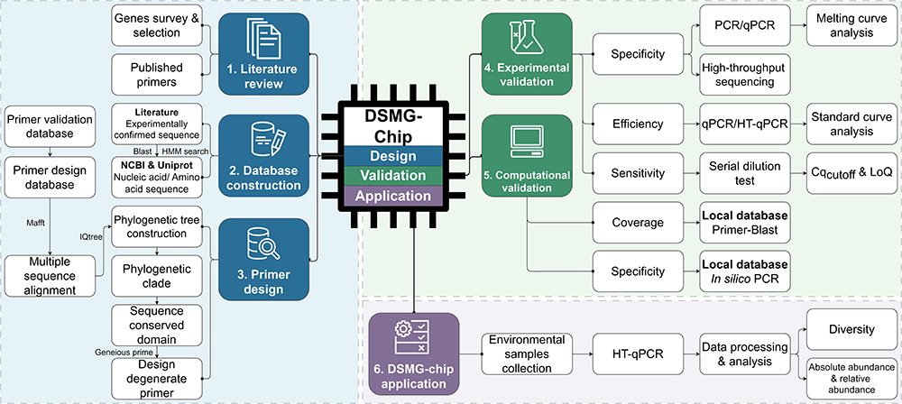 中国海洋大学在微生物DMSP/DMS循环方面取得新进展