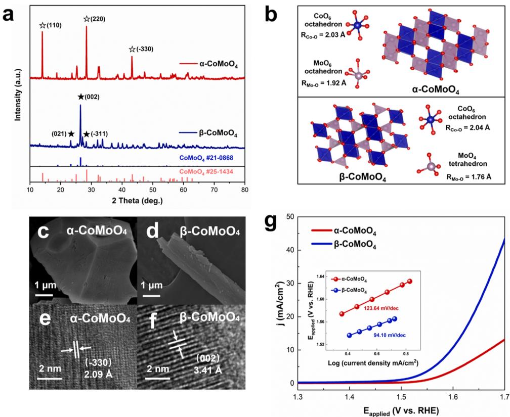时间分辨电化学快速扫描XAFS研究获进展