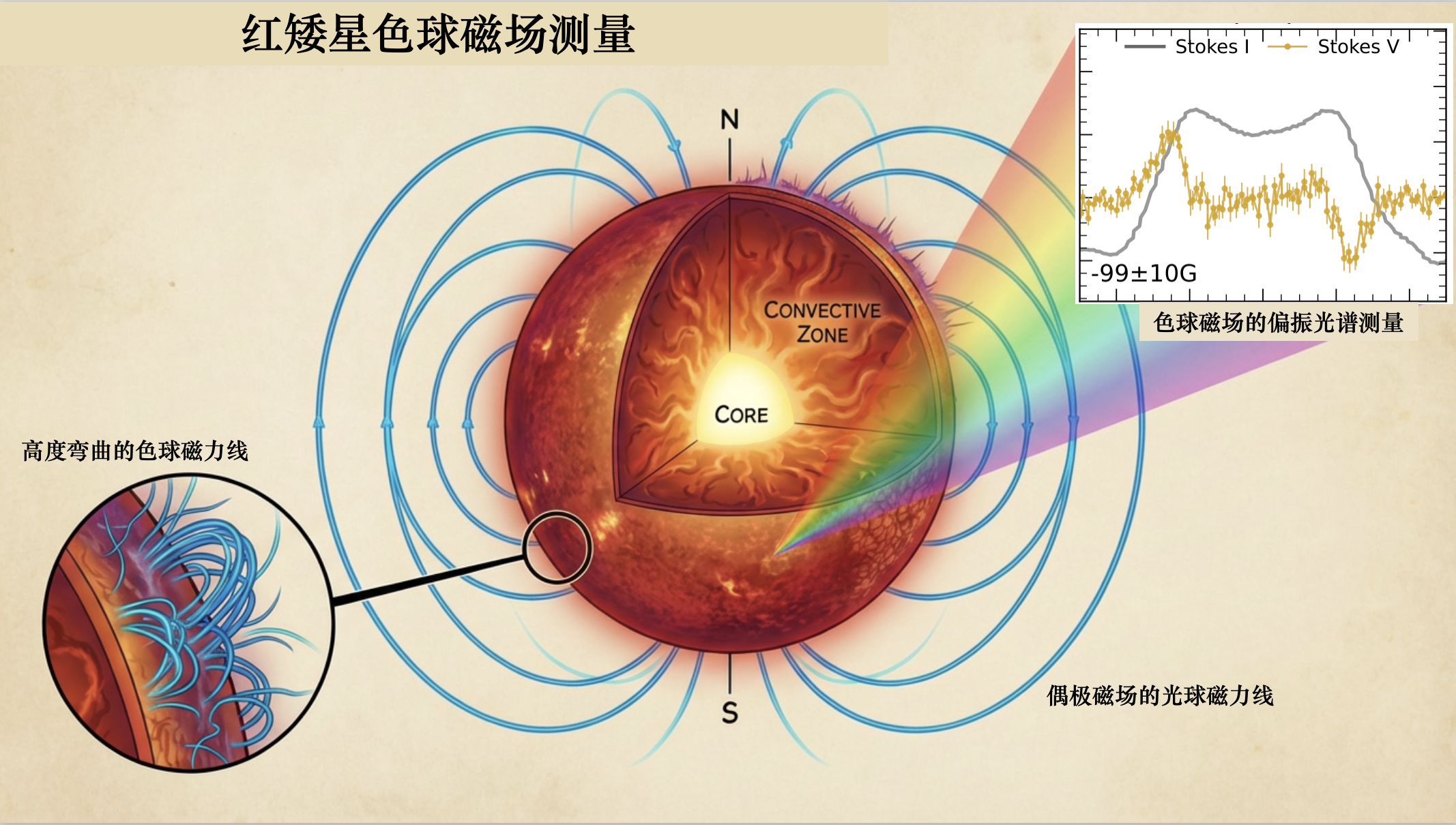 北京师范大学物理与天文学院教授付建宁团队与合作者首次对太阳之外的恒星实现色球层磁场的测量