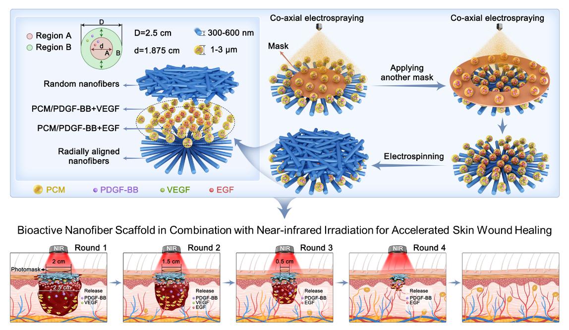 北京化工大学薛佳佳教授课题组在《Science Advances》刊发最新研究成果