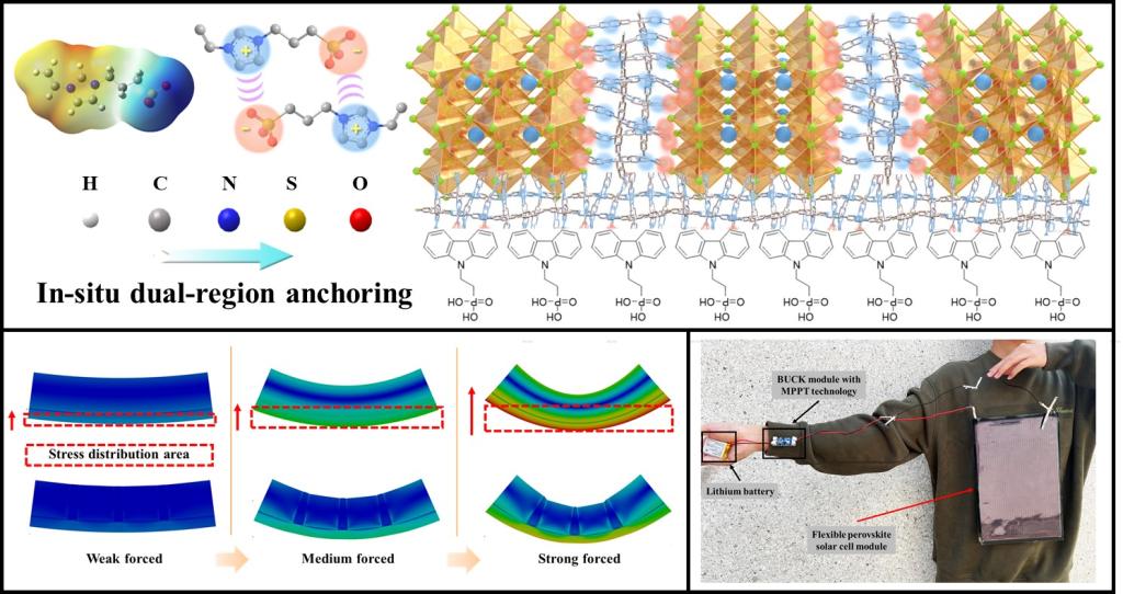西安交大科研团队在柔性钙钛矿光伏研究领域取得新进展