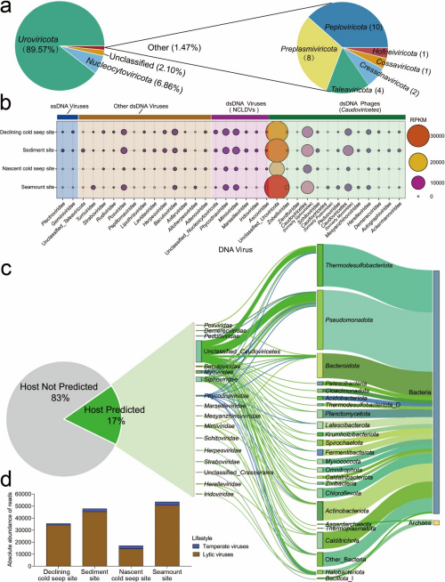 深海沉积物病毒多样性和辅助代谢功能研究获进展