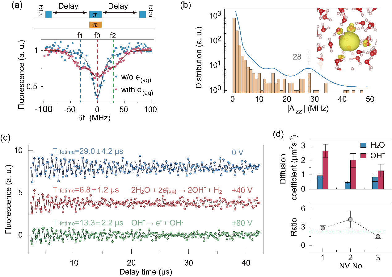 北京大学物理学院江颖课题组开发出探测固-液界面的量子显微镜技术
