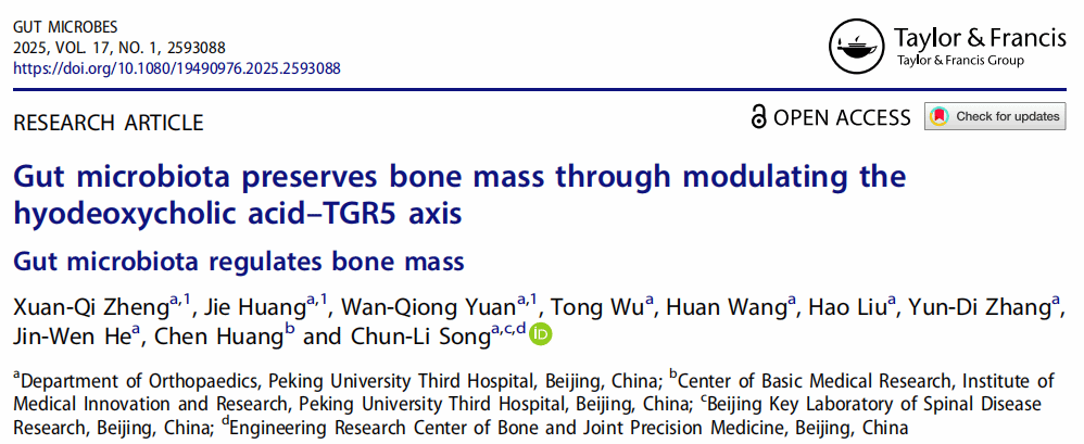 北京大学北京大学第三医院宋纯理教授团队揭示肠道菌群影响骨代谢的机制