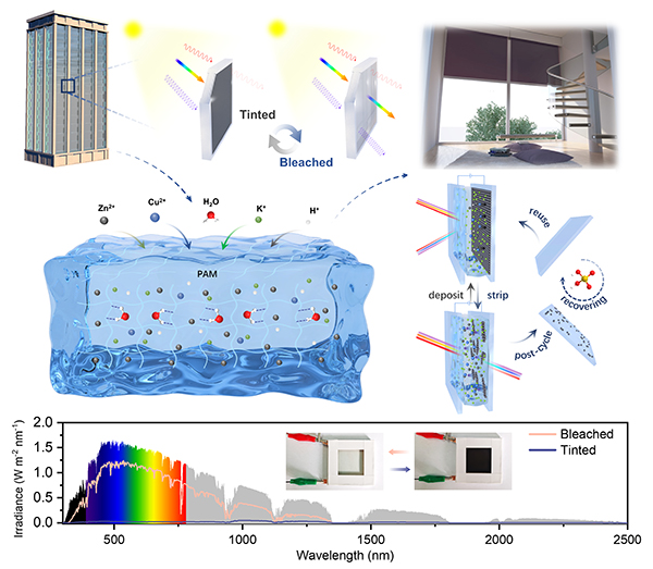 中国海洋大学在光热调控电致变色智能窗领域取得新进展