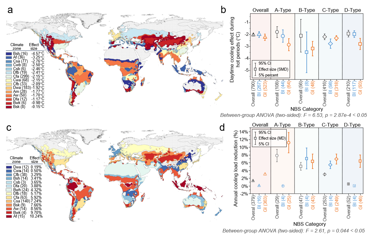 东南大学王伟团队在《自然城市》发表基于自然解决方案的城市降温与节能效应研究成果