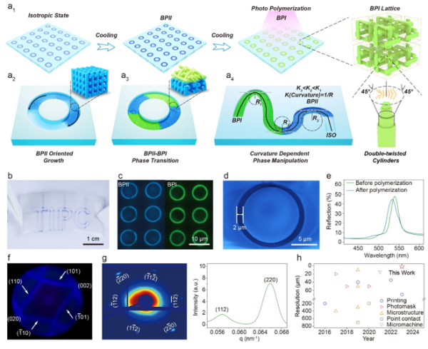 蓝相液晶精细结构组装研究取得进展