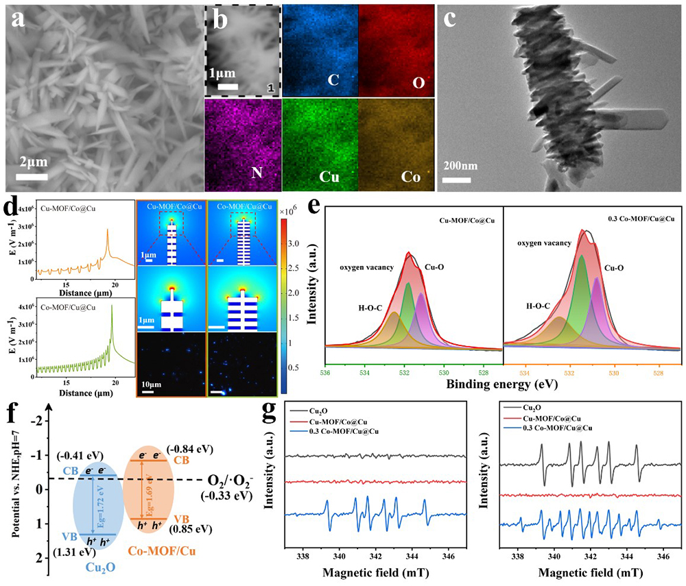中国海洋大学在密闭空间高效空气杀菌领域取得新进展