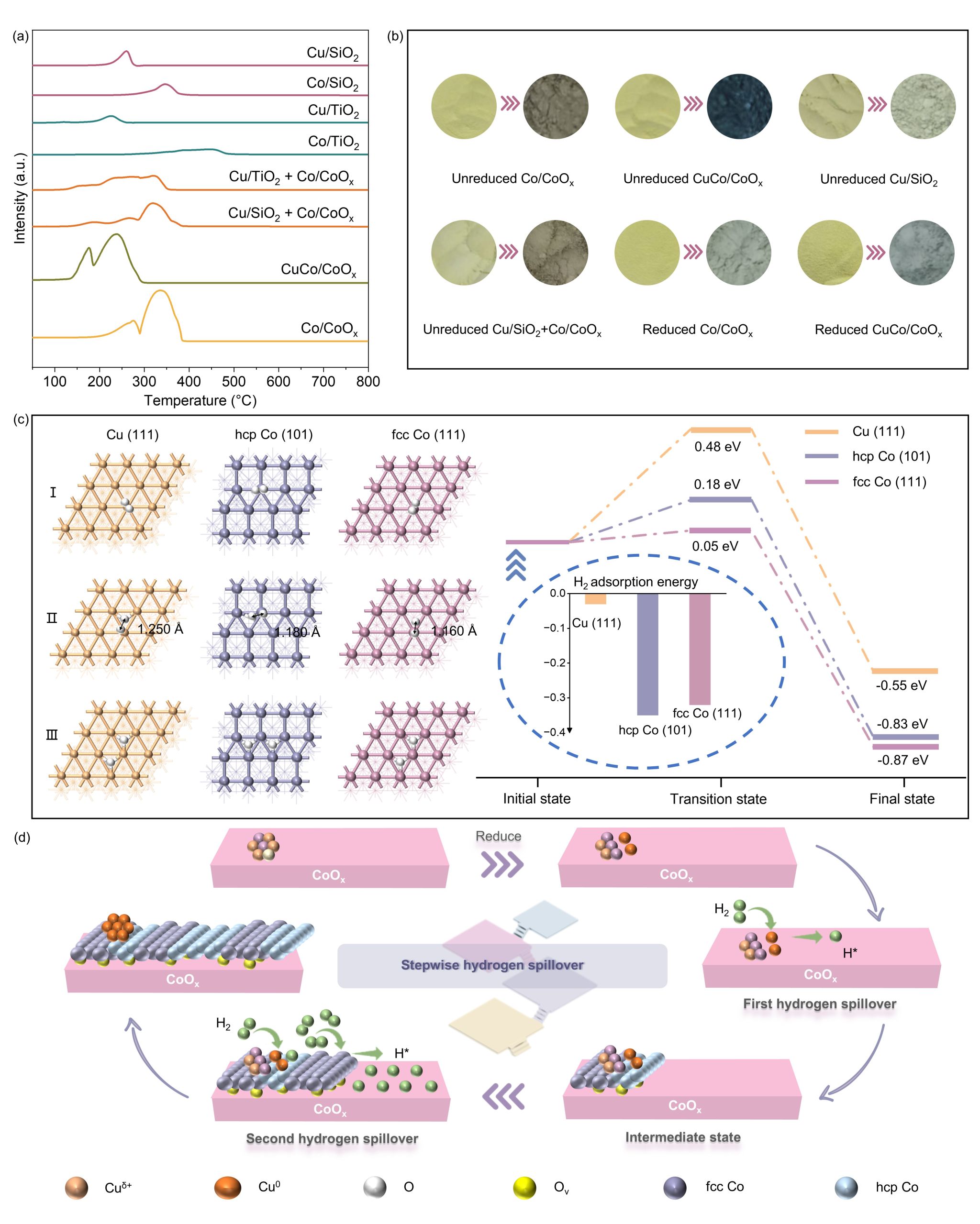 南京大学环境与健康研究院景亚轩、崔昕毅合作团队在废塑料催化循环方向取得新进展