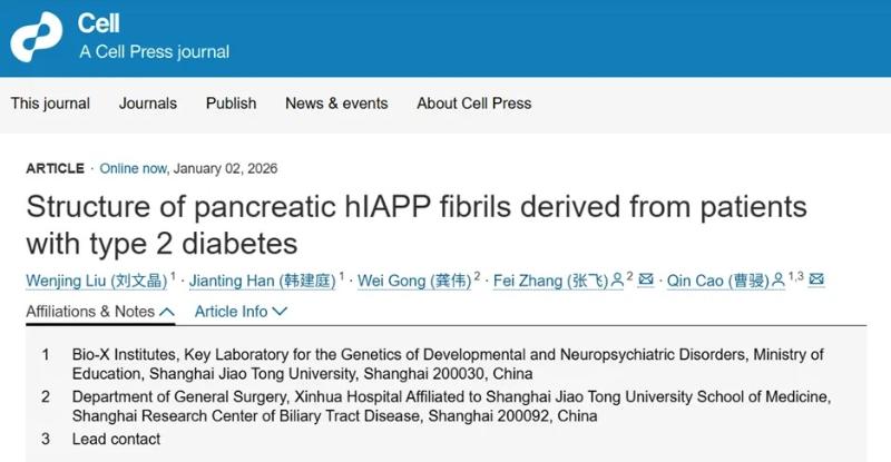 上海交大Bio-X研究院曹骎团队与附属医院张飞团队合作报道2型糖尿病人胰腺中hIAPP纤维的分子结构