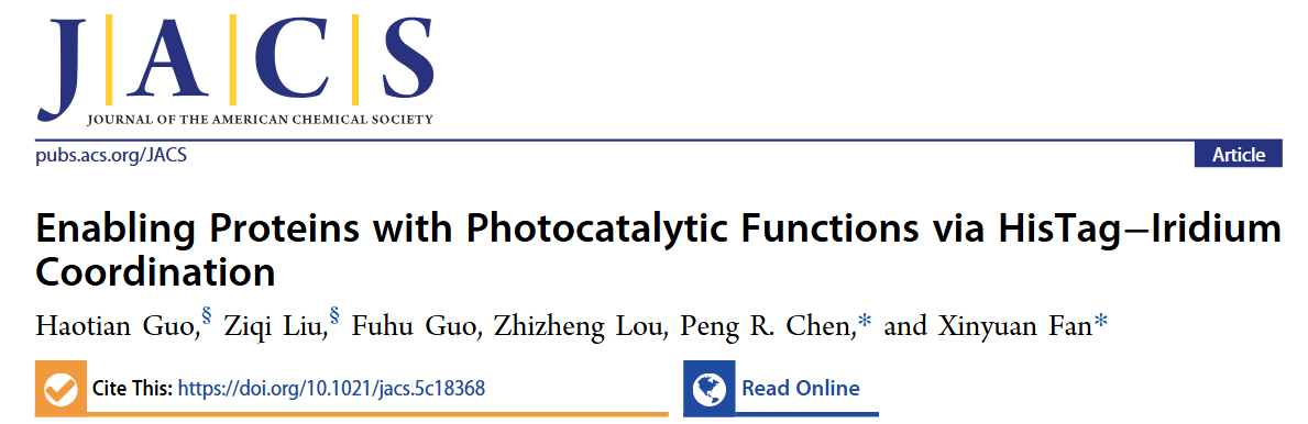 北京大学化学学院陈鹏和樊新元课题组开发CAT-tag技术赋予蛋白质高效光催化活性