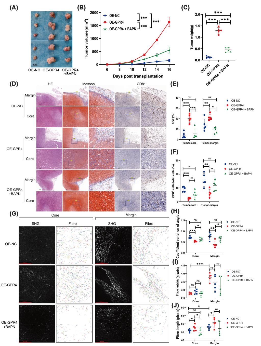 一附院任娟教授团队在Nature子刊发表研究成果