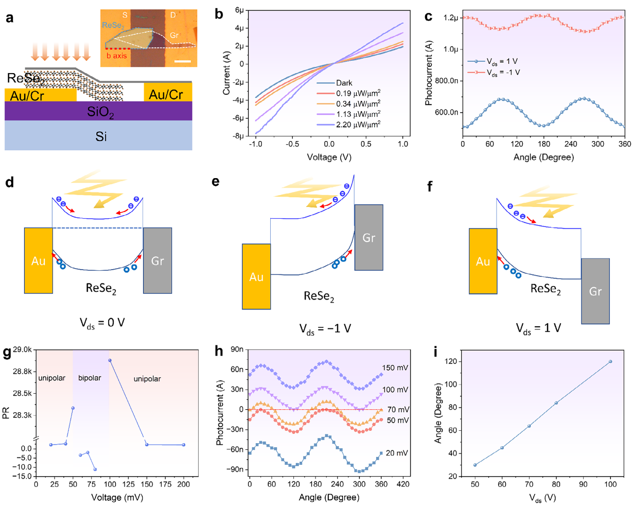 电子科技大学光电学院兰长勇副教授、李春教授团队在Laser & Photonics Reviews发表论文