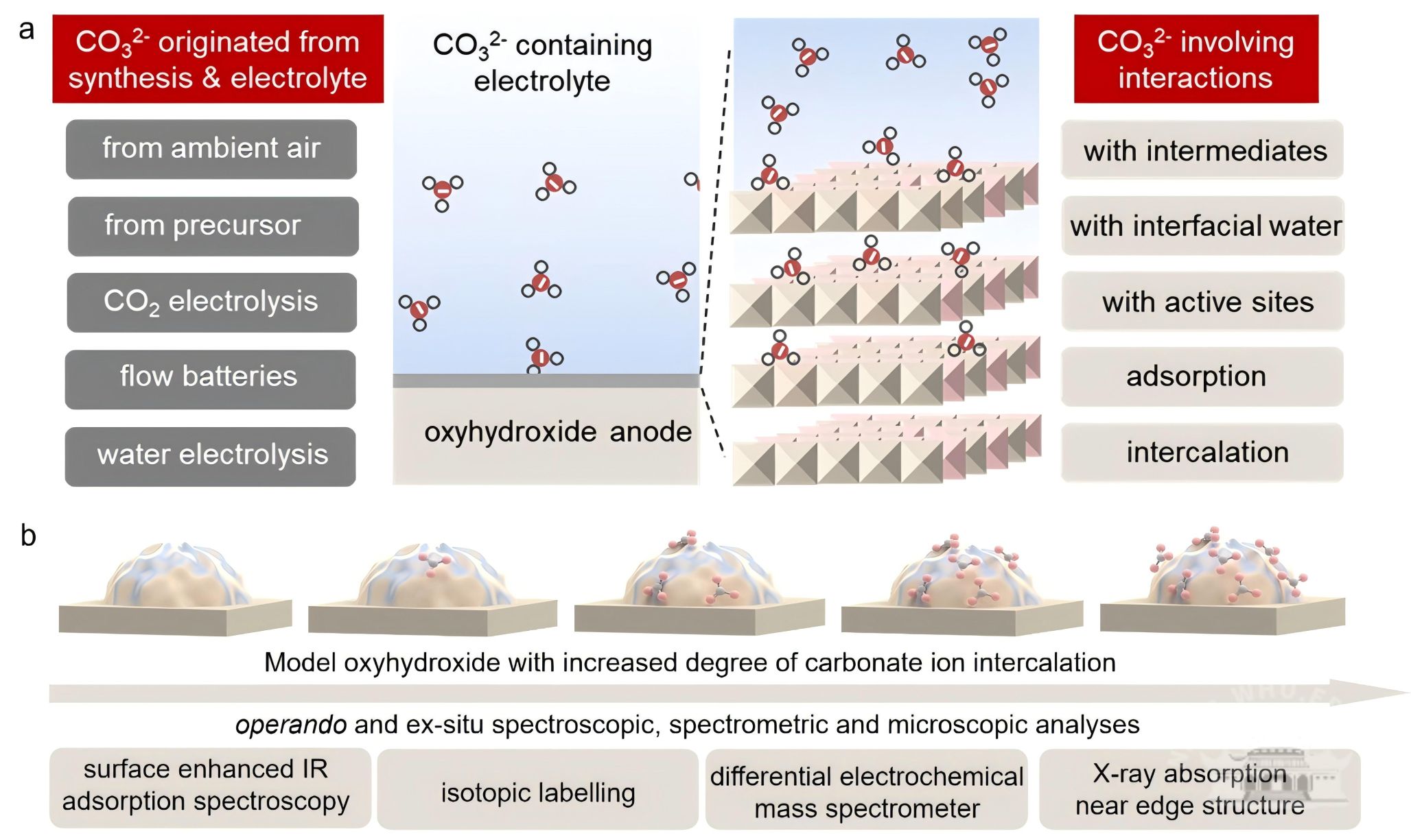 武汉大学晏宁课题组揭示碳酸盐电解质调控羟基氧化物晶格氧动力学的机制以实现高效且持久的催化水氧化