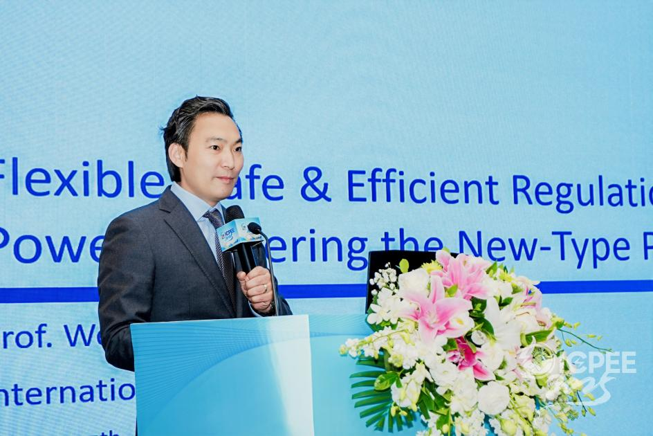 第九届电力与能源工程国际会议（ICPEE 2025）在蓉顺利召开！