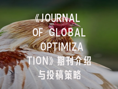 《JOURNAL OF GLOBAL OPTIMIZATION》期刊介绍与投稿策略