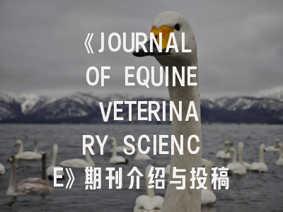 《JOURNAL OF EQUINE VETERINARY SCIENCE》期刊介绍与投稿策略