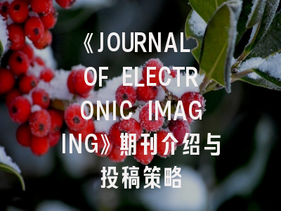 《JOURNAL OF ELECTRONIC IMAGING》期刊介绍与投稿策略