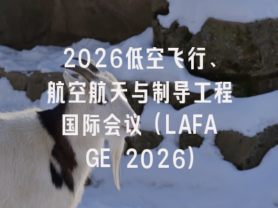 2026低空飞行、航空航天与制导工程国际会议（LAFAGE 2026）