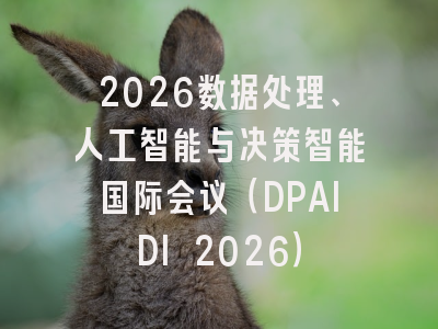 2026数据处理、人工智能与决策智能国际会议（DPAIDI 2026）