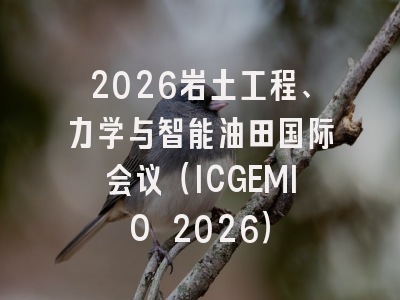 2026岩土工程、力学与智能油田国际会议（ICGEMIO 2026）