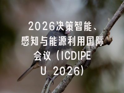 2026决策智能、感知与能源利用国际会议（ICDIPEU 2026）