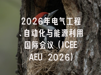 2026年电气工程、自动化与能源利用国际会议（ICEEAEU 2026）