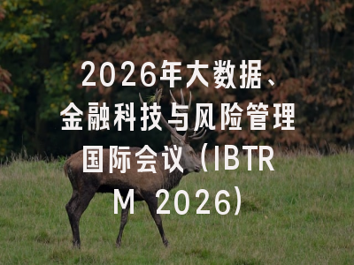 2026年大数据、金融科技与风险管理国际会议(IBTRM 2026)