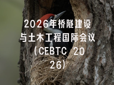 2026年桥隧建设与土木工程国际会议（CEBTC 2026）