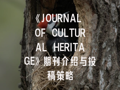 《JOURNAL OF CULTURAL HERITAGE》期刊介绍与投稿策略