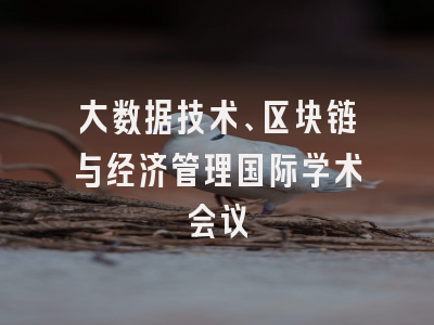 大数据技术、区块链与经济管理国际学术会议
