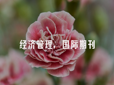 经济管理，国际期刊