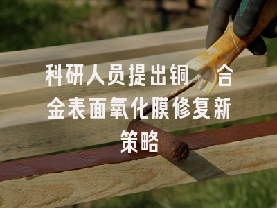 科研人员提出铜镍合金表面氧化膜修复新策略