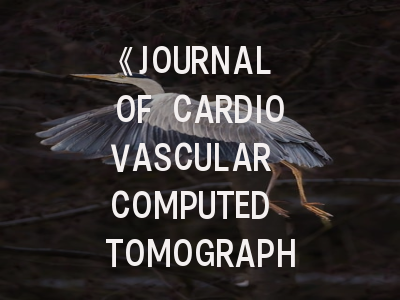 《JOURNAL OF CARDIOVASCULAR COMPUTED TOMOGRAPHY》期刊介绍与投稿策略
