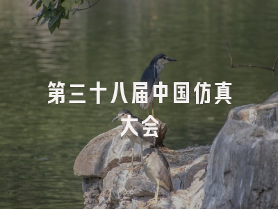 第三十八届中国仿真大会