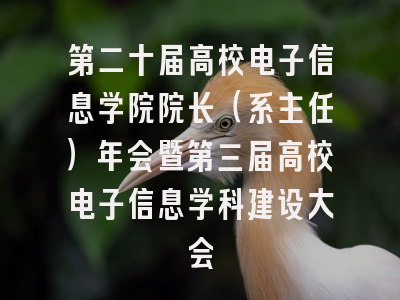 第二十届高校电子信息学院院长（系主任）年会暨第三届高校电子信息学科建设大会