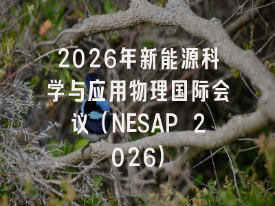 2026年新能源科学与应用物理国际会议（NESAP 2026）