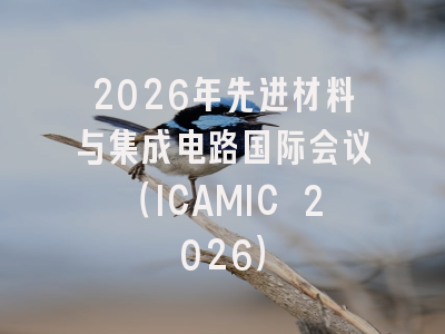 2026年先进材料与集成电路国际会议（ICAMIC 2026）