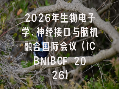 2026年生物电子学、神经接口与脑机融合国际会议（ICBNIBCF 2026）