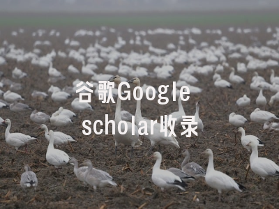 谷歌Google scholar收录