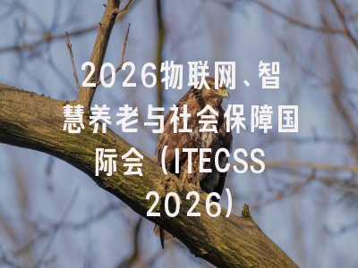 2026物联网、智慧养老与社会保障国际会（ITECSS 2026）