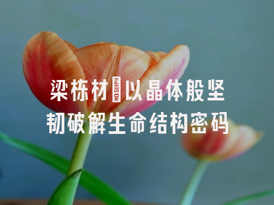 梁栋材：以晶体般坚韧破解生命结构密码