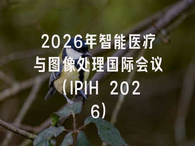 2026年智能医疗与图像处理国际会议(IPIH 2026)