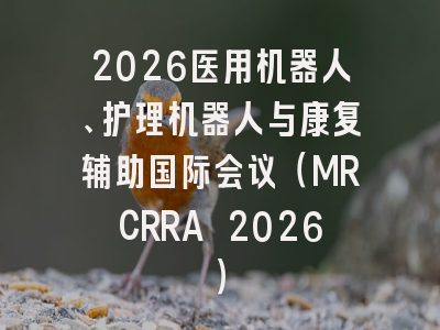 2026医用机器人、护理机器人与康复辅助国际会议（MRCRRA 2026）