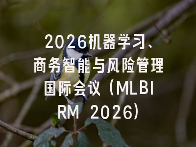 2026机器学习、商务智能与风险管理国际会议（MLBIRM 2026）